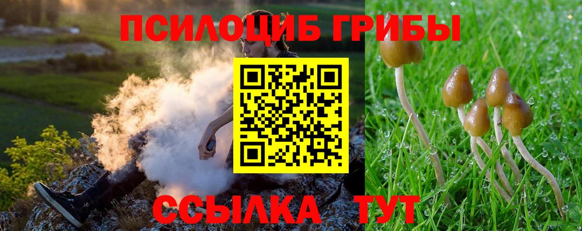 Псилоцибиновые грибы GOLDEN TEACHER Набережные Челны