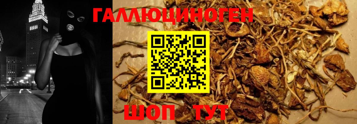 Набережные Челны  Псилоцибиновые грибы MAGIC MUSHROOMS  купить наркотик  Вход с VPN 